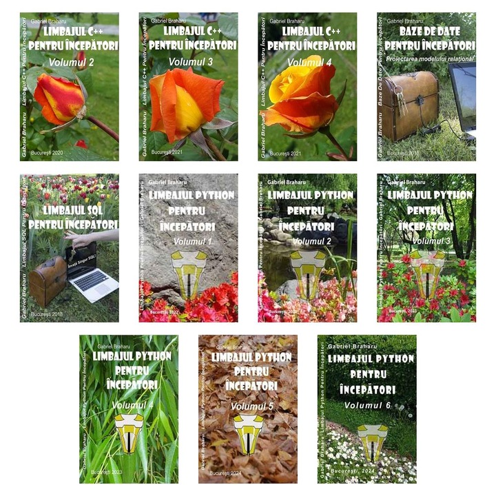 Set de 11 Carti Programare Incepatori (727), Gabriel Braharu, Colectia "Invata programare singur"