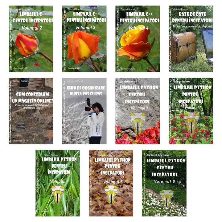 Set de 10+1 Carti Programare Incepatori (720), Gabriel Braharu, Colectia "Invata programare singur"