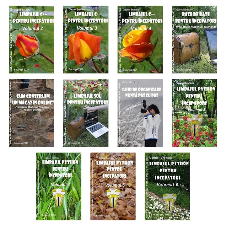 Set de 10+1 Carti Programare Incepatori (713), Gabriel Braharu, Colectia "Invata programare singur", 11 bucati