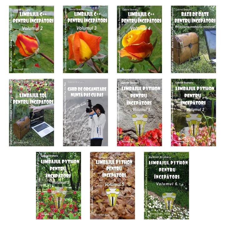 Set de 10+1 Carti Programare Incepatori (723), Gabriel Braharu, Colectia "Invata programare singur"