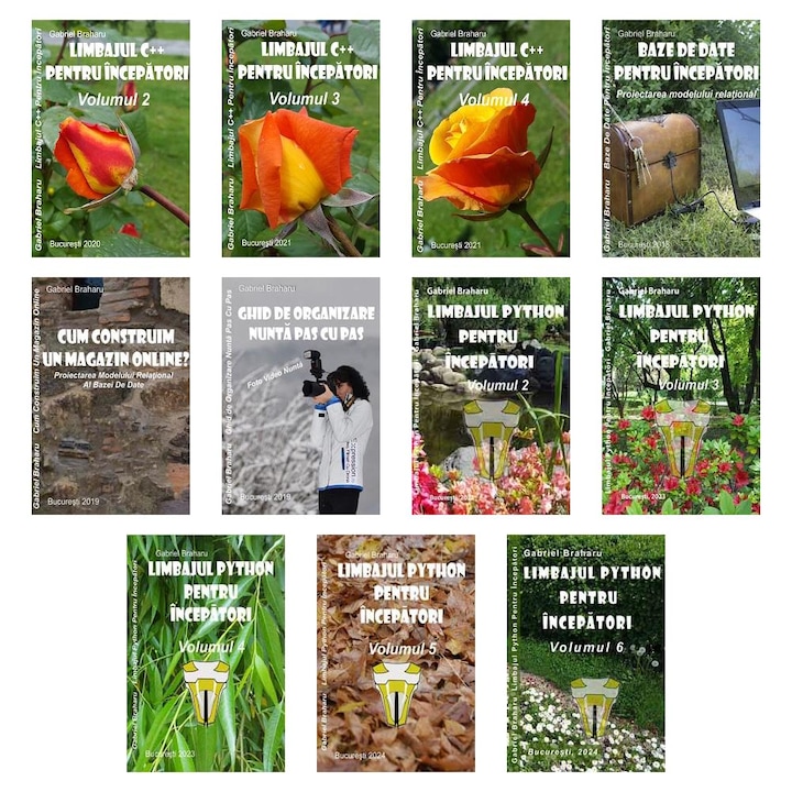 Set de 10+1 Carti Programare Incepatori (721), Gabriel Braharu, Colectia "Invata programare singur"