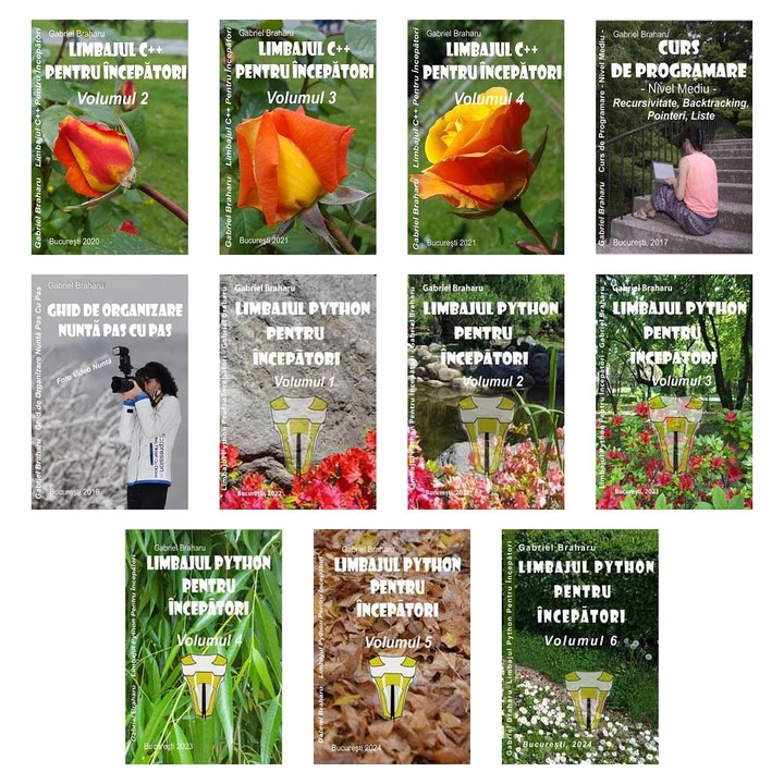 Set de 10+1 Carti Programare Incepatori (707), Gabriel Braharu, Colectia "Invata programare singur"