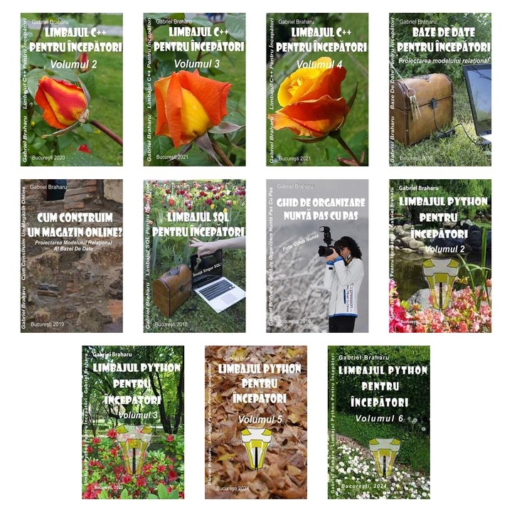 Set de 10+1 Carti Programare Incepatori (711), Gabriel Braharu, Colectia "Invata programare singur"