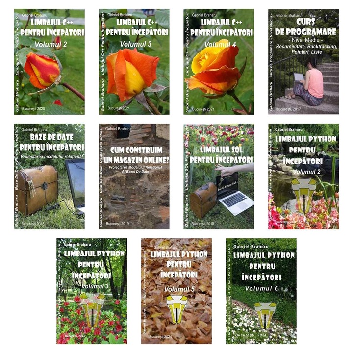 Set de 11 Carti Programare Incepatori (674), Gabriel Braharu, Colectia "Invata programare singur"