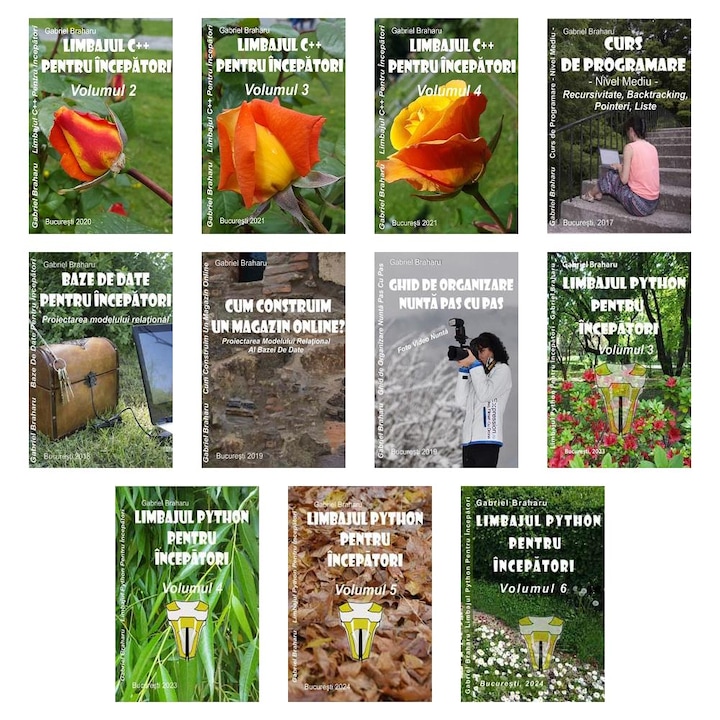Set de 10+1 Carti Programare Incepatori (682), Gabriel Braharu, Colectia "Invata programare singur"