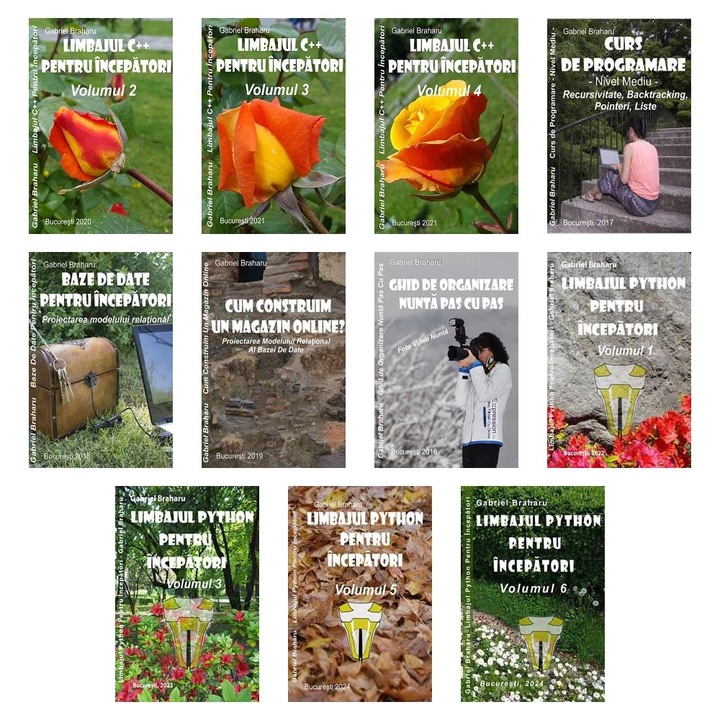 Set de 10+1 Carti Programare Incepatori (678), Gabriel Braharu, Colectia "Invata programare singur"