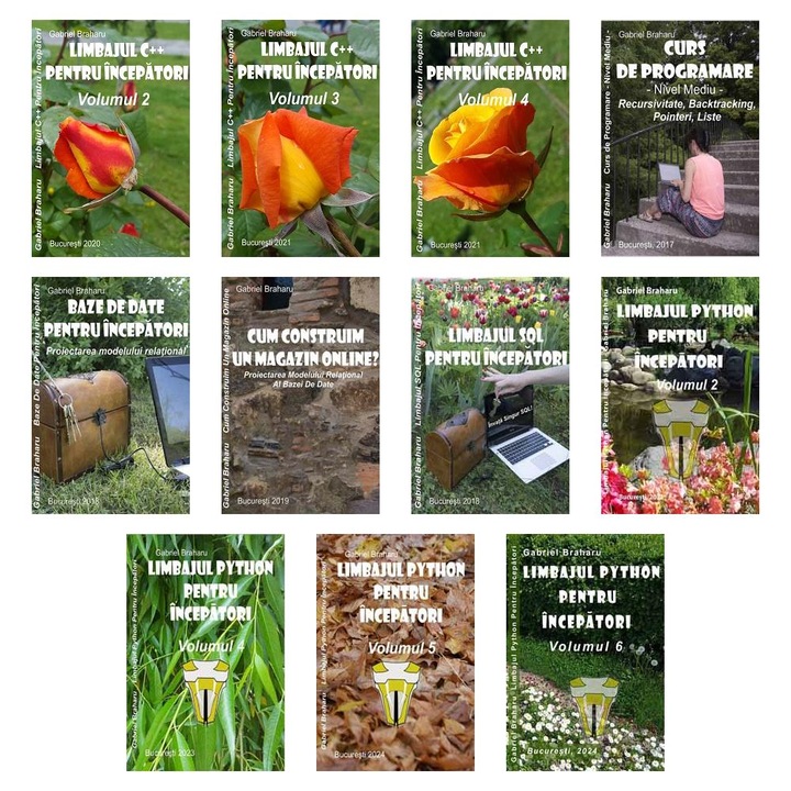 Set de 11 Carti Programare Incepatori (675), Gabriel Braharu, Colectia "Invata programare singur"