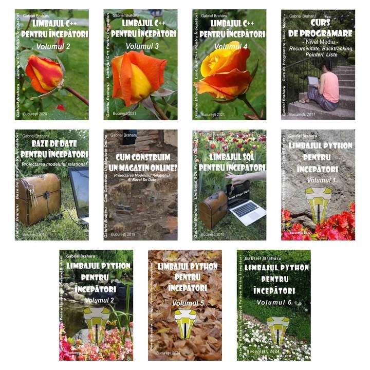 Set de 11 Carti Programare Incepatori (671), Gabriel Braharu, Colectia "Invata programare singur"
