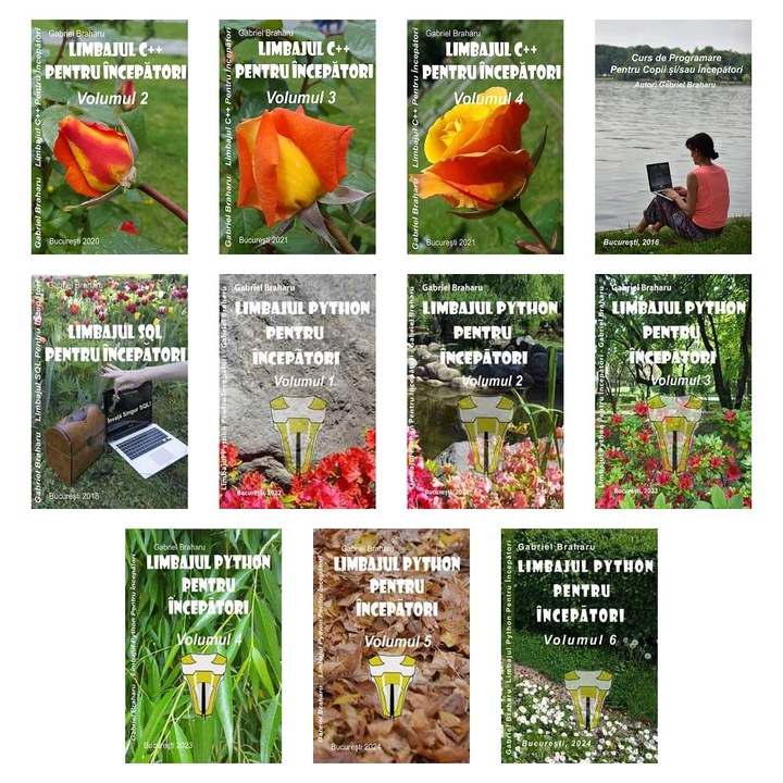 Set de 11 Carti Programare Incepatori (665), Gabriel Braharu, Colectia "Invata programare singur"