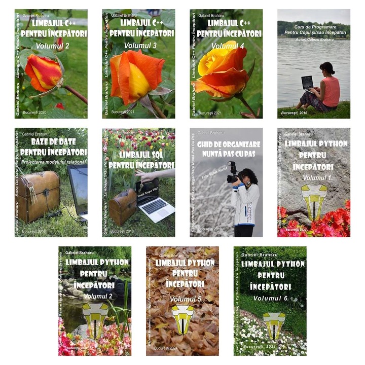 Set de 10+1 Carti Programare Incepatori (646), Gabriel Braharu, Colectia "Invata programare singur"