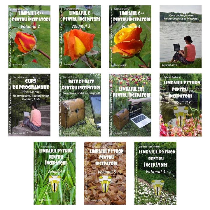 Set de 11 Carti Programare Incepatori (599), Gabriel Braharu, Colectia "Invata programare singur"