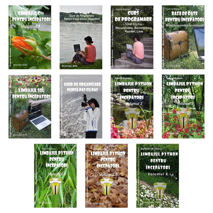 Set de 10+1 Carti Programare Incepatori (557), Gabriel Braharu, Colectia "Invata programare singur"