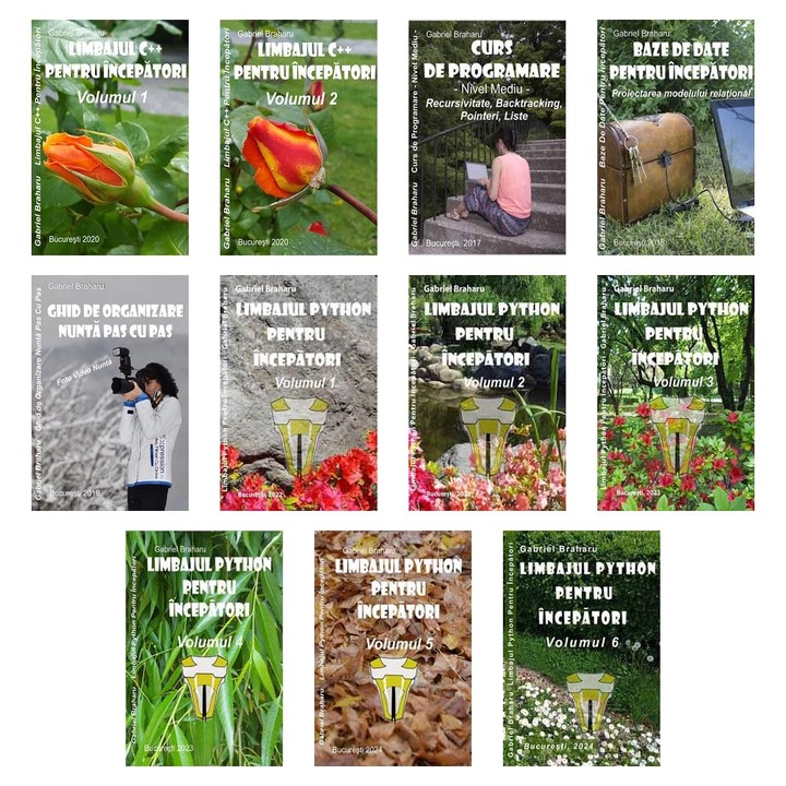 Set de 10+1 Carti Programare Incepatori (530), Gabriel Braharu, Colectia "Invata programare singur"