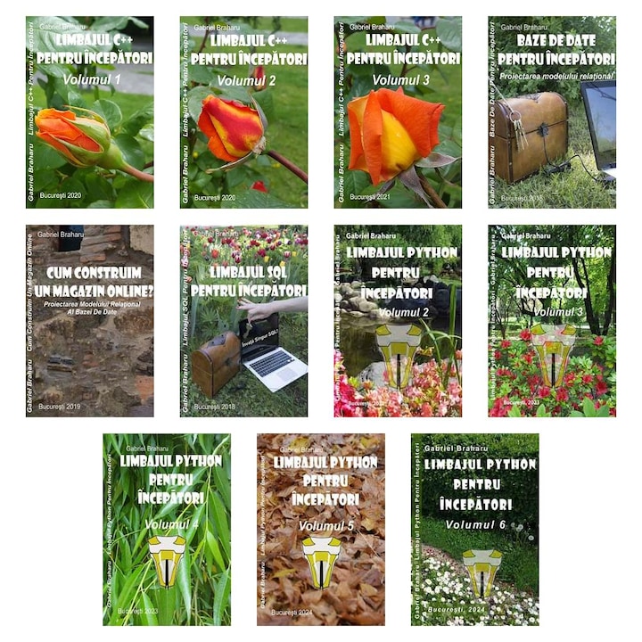 Set de 11 Carti Programare Incepatori (434), Gabriel Braharu, Colectia "Invata programare singur"