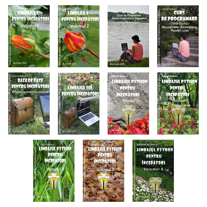 Set de 11 Carti Programare Incepatori (475), Gabriel Braharu, Colectia "Invata programare singur"