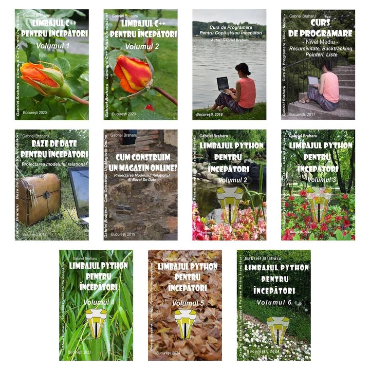 Set de 11 Carti Programare Incepatori (466), Gabriel Braharu, Colectia "Invata programare singur"