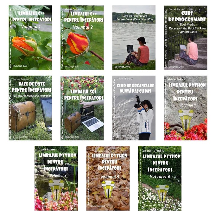 Set de 10+1 Carti Programare Incepatori (467), Gabriel Braharu, Colectia "Invata programare singur"