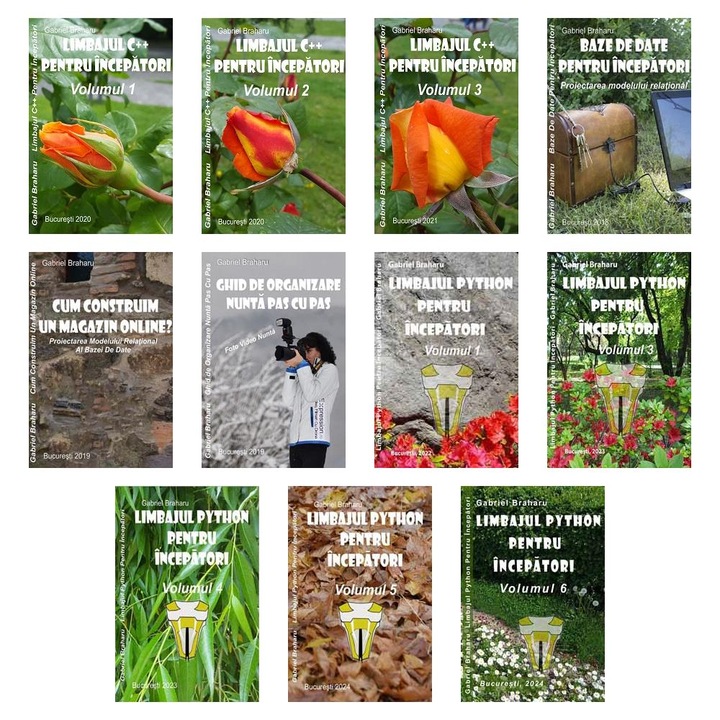 Set de 10+1 Carti Programare Incepatori (437), Gabriel Braharu, Colectia "Invata programare singur"