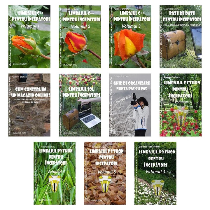 Set de 10+1 Carti Programare Incepatori (430), Gabriel Braharu, Colectia "Invata programare singur"