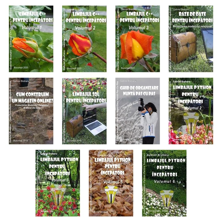 Set de 10+1 Carti Programare Incepatori (428), Gabriel Braharu, Colectia "Invata programare singur"