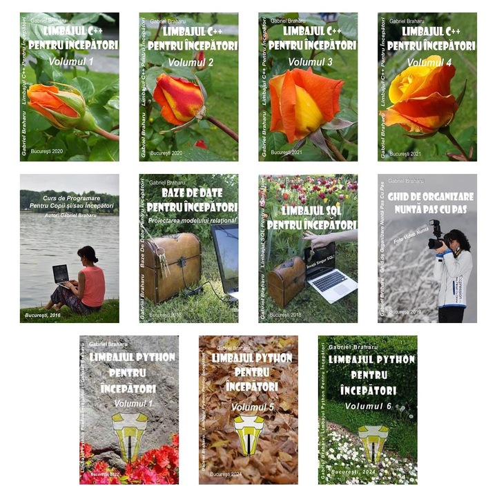 Set de 10+1 Carti Programare Incepatori (167), Gabriel Braharu, Colectia "Invata programare singur"