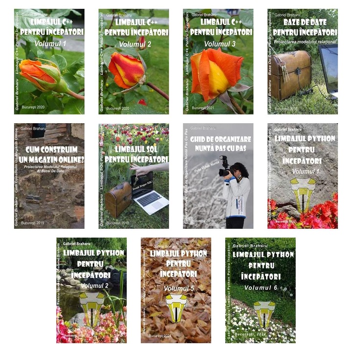 Set de 10+1 Carti Programare Incepatori (425), Gabriel Braharu, Colectia "Invata programare singur"