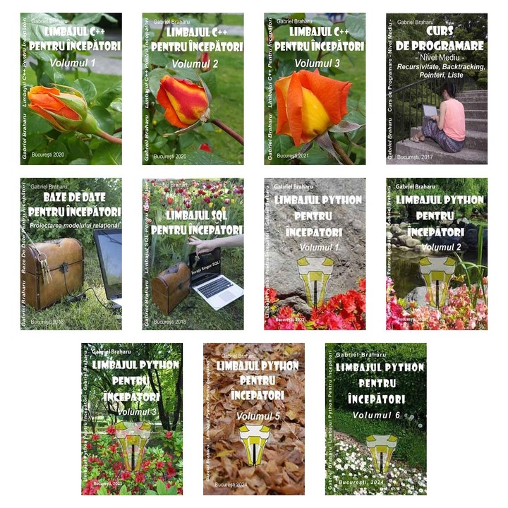 Set de 11 Carti Programare Incepatori (410), Gabriel Braharu, Colectia "Invata programare singur"