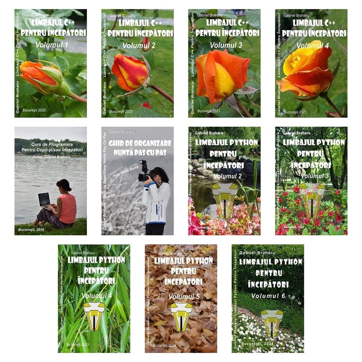 Set de 10+1 Carti Programare Incepatori (200), Gabriel Braharu, Colectia "Invata programare singur"