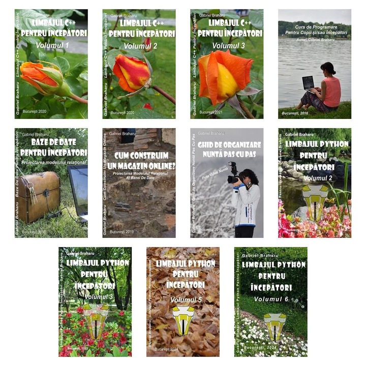 Set de 10+1 Carti Programare Incepatori (356), Gabriel Braharu, Colectia "Invata programare singur"