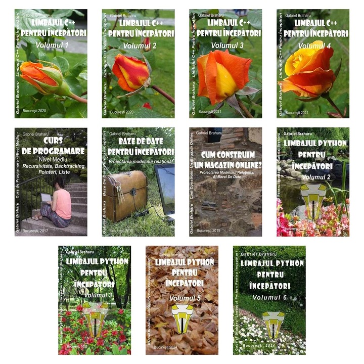 Set de 11 Carti Programare Incepatori (214), Gabriel Braharu, Colectia "Invata programare singur"