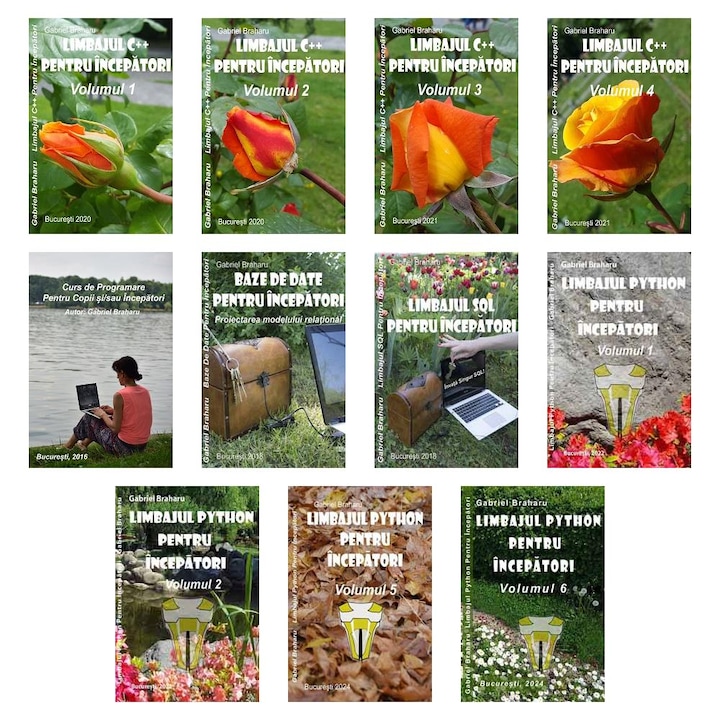 Set de 11 Carti Programare Incepatori (171), Gabriel Braharu, Colectia "Invata programare singur"