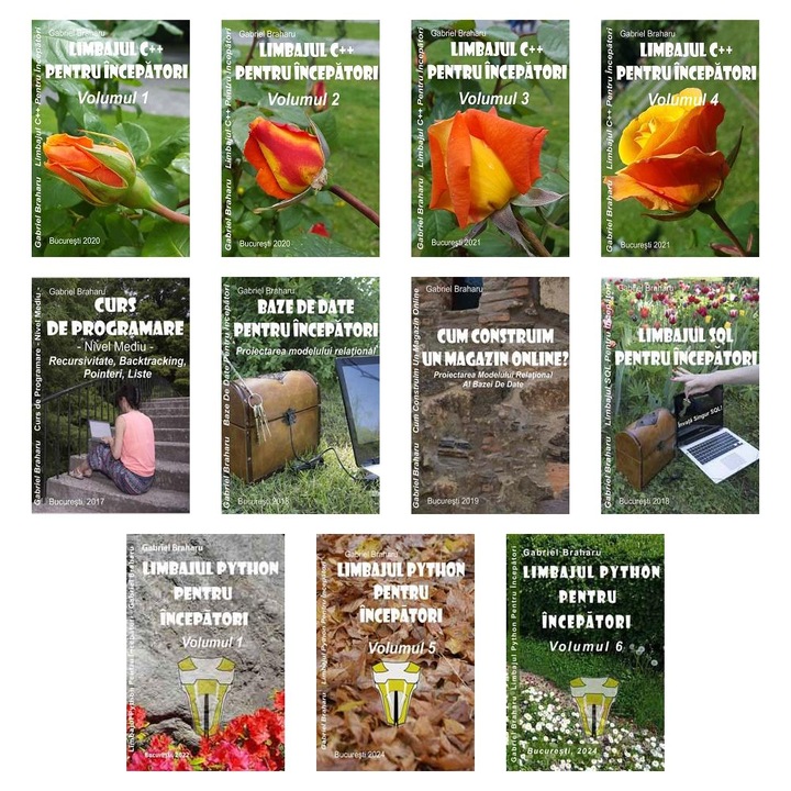 Set de 11 Carti Programare Incepatori (203), Gabriel Braharu, Colectia "Invata programare singur"