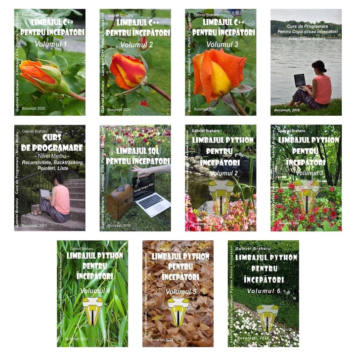 Set de 11 Carti Programare Incepatori (337), Gabriel Braharu, Colectia "Invata programare singur"