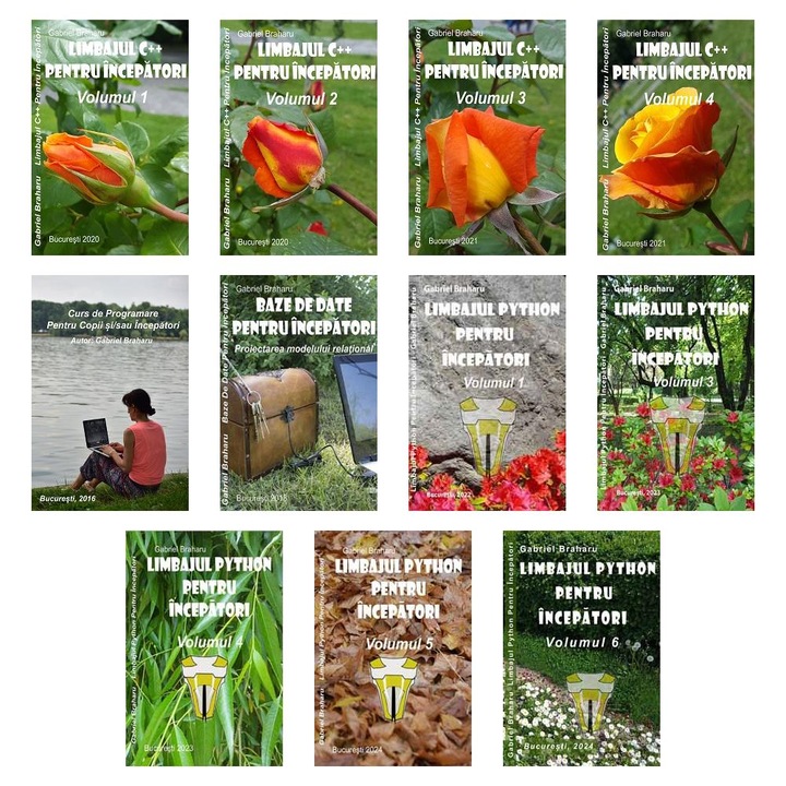 Set de 11 Carti Programare Incepatori (185), Gabriel Braharu, Colectia "Invata programare singur"