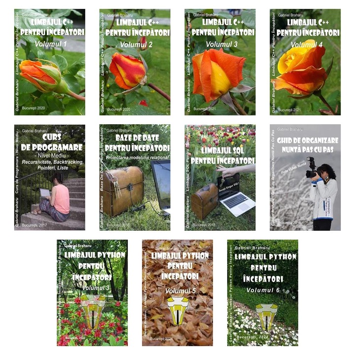 Set de 10+1 Carti Programare Incepatori (219), Gabriel Braharu, Colectia "Invata programare singur"