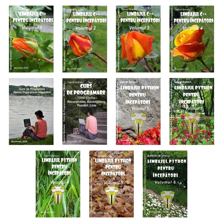 Set de 11 Carti Programare Incepatori (150), Gabriel Braharu, Colectia "Invata programare singur"
