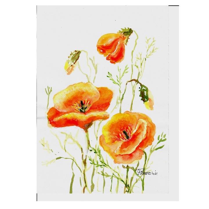 Kaliforniai mák festmény, kézzel készített 2024-ben, akvarell papírra, keret nélkül, 21 x 29 cm
