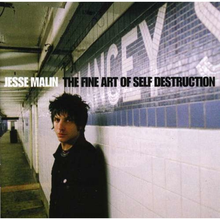 Jesse Malin - Fine Art Of Self Destruct (CD)