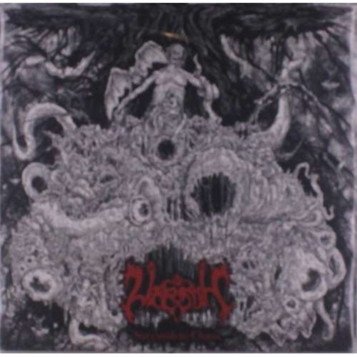 Vrenth - Succumb To Chaos (LP)