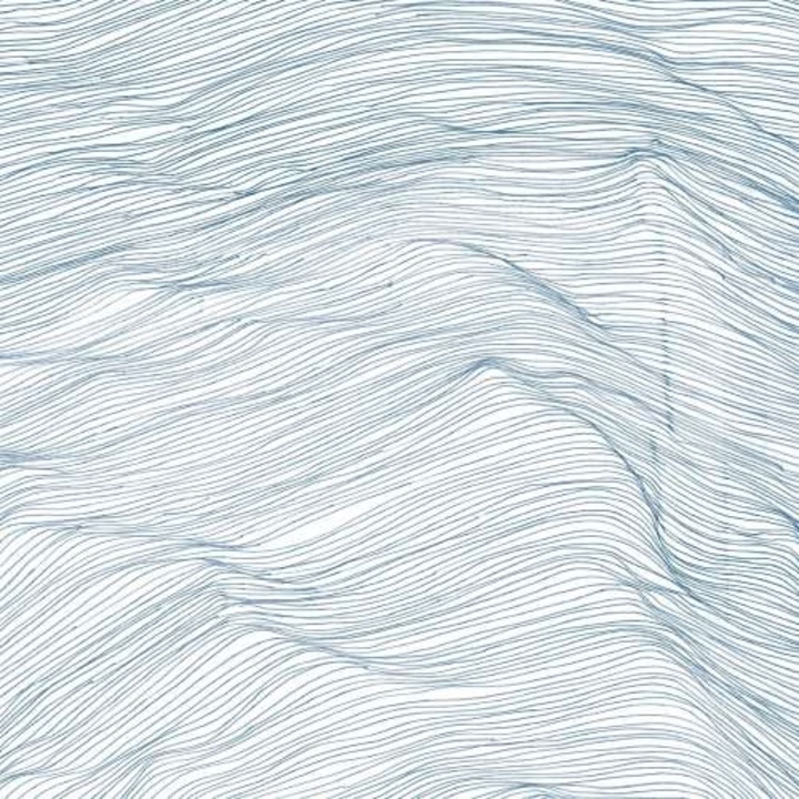 Qasim/wadada Leo Smith Naqvi - Two Centuries (LP)