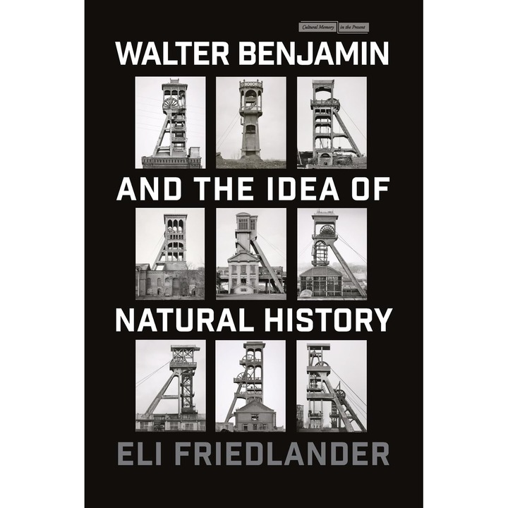 Walter Benjamin and the Idea of Natural History - Eli Friedlander, ed 2024