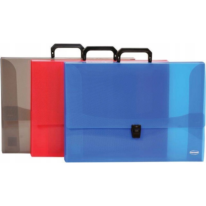 Mapa documente, Centru, Plastic, Multicolor, A3