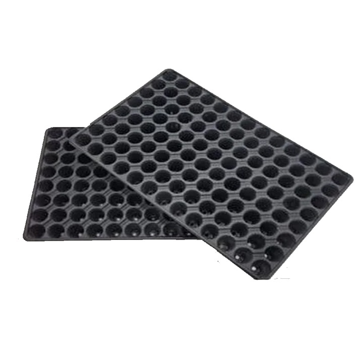 Alveole 104 celule, 50 bucat