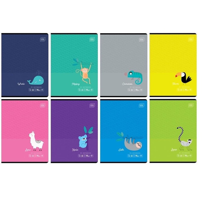 20 db füzet, Interdruk, A5, Többszínű