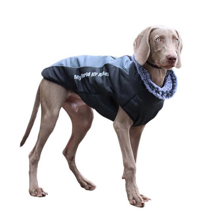 Vízálló télikabát kivehető integrált hámmal kutyák számára Saharina: kényelem és biztonság hűséges barátjának, fényvisszaverő fehér, L