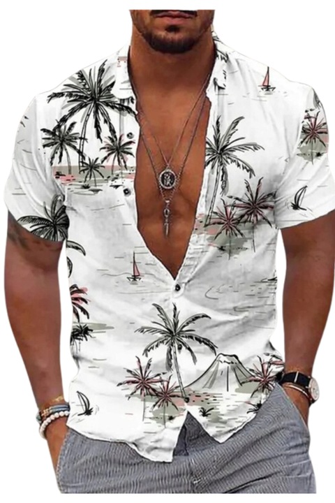 Elegáns és divatos ing