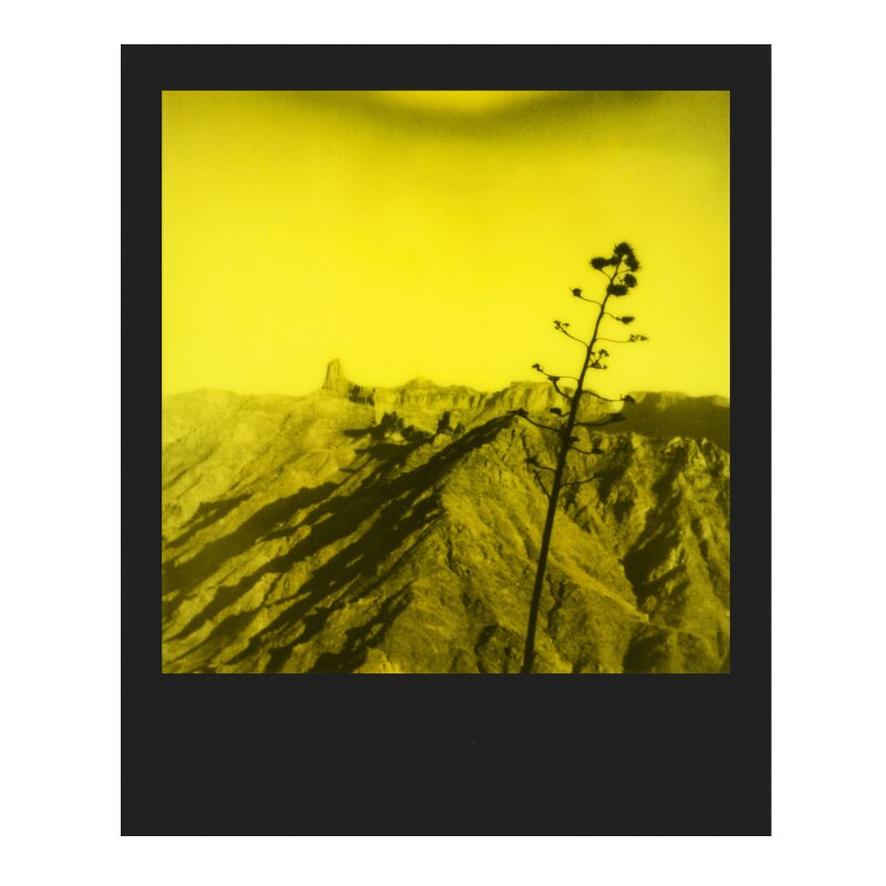 Polaroid Black & Yellow 600 Film – Duochrome Edition - 5