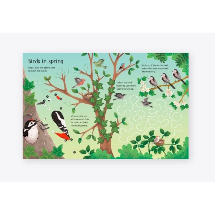 Wipe-Clean Woodland Activities Usborne