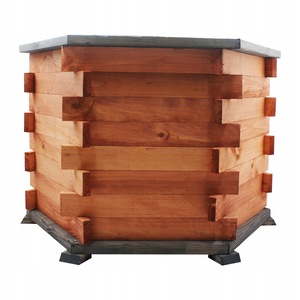 Ghivece si suporturi