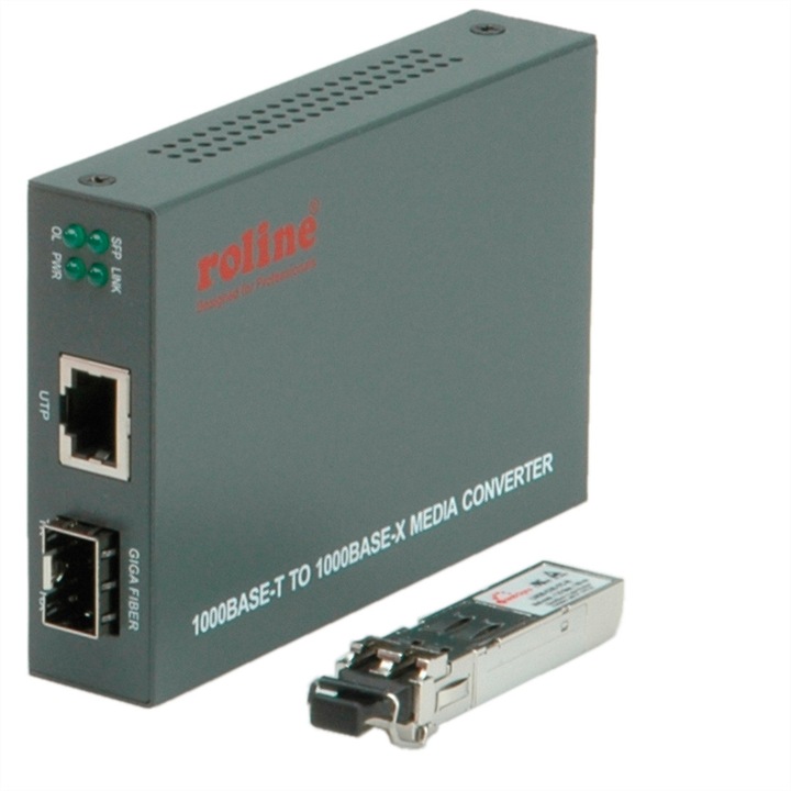 Convertor, ROLINE, Gigabit, RJ-45, Gri